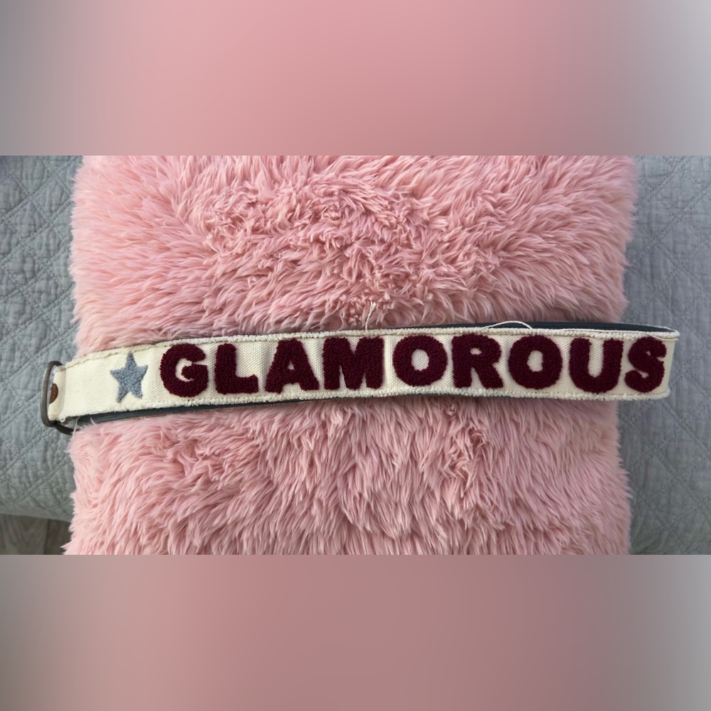 Y2K Glamorous Girl belt
